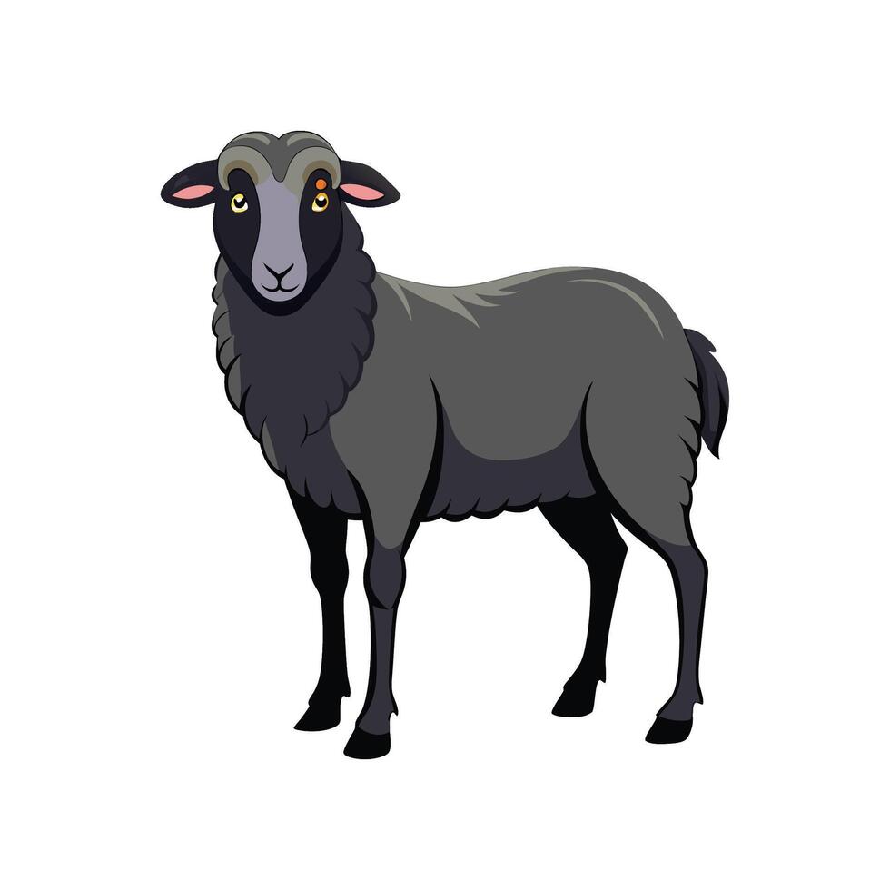 Beautiful East Friesian Sheep Realistic Color Illustration vector