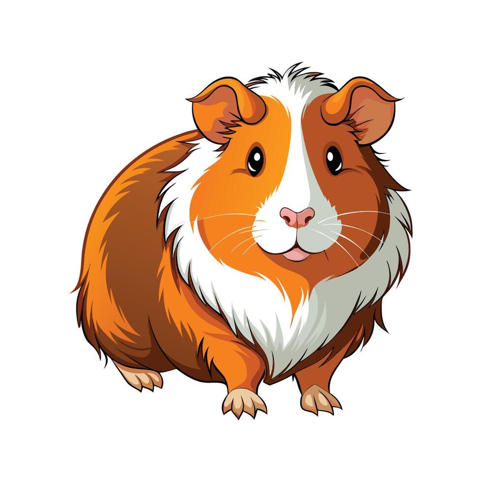Charming Guinea Pig Realistic Color Illustration vector
