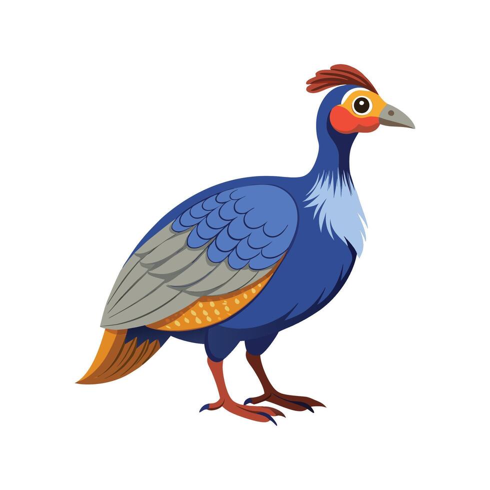 Charming Guinea Fowl Realistic Color Illustration with Outline vector