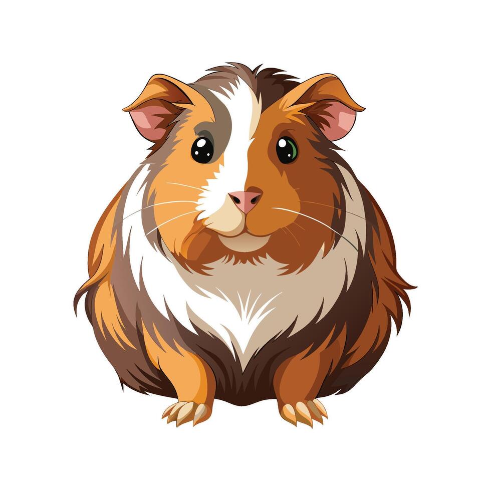 Beautiful Guinea Pig Realistic Color Illustration vector