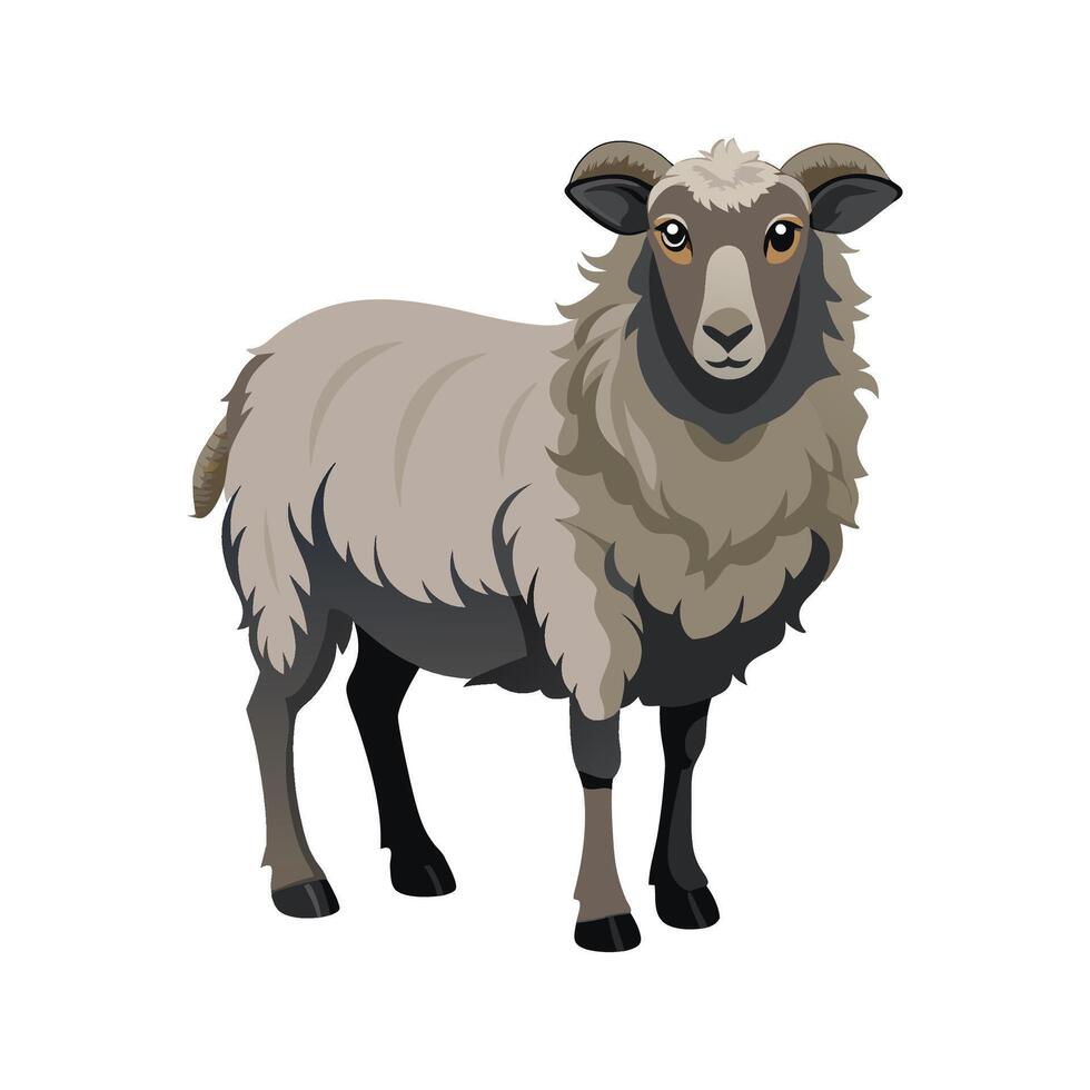 Beautiful Hampshire Sheep Realistic Color Illustration. vector