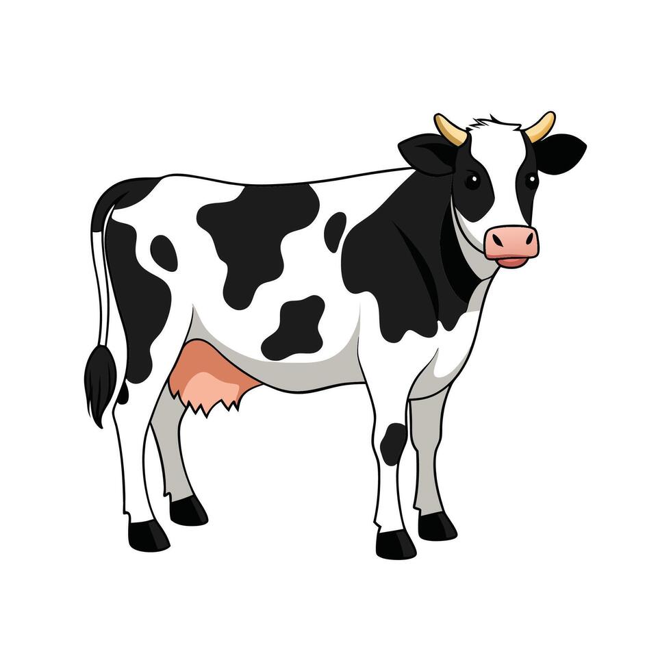 Charming Holstein Cow Realistic Color Illustration with Outline vector