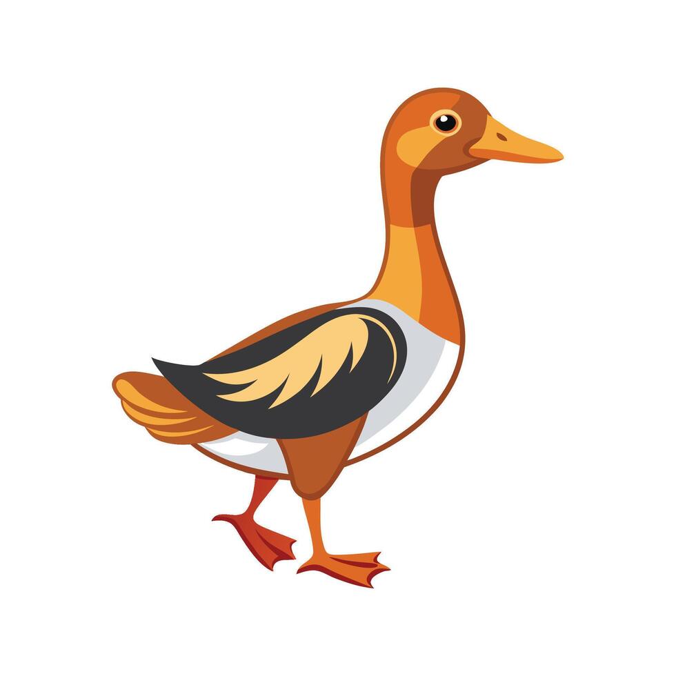 Vivid Indian Runner Duck Realistic Color Illustration vector