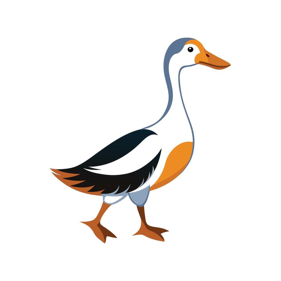 Stunning Indian Runner Duck Realistic Color Illustration vector