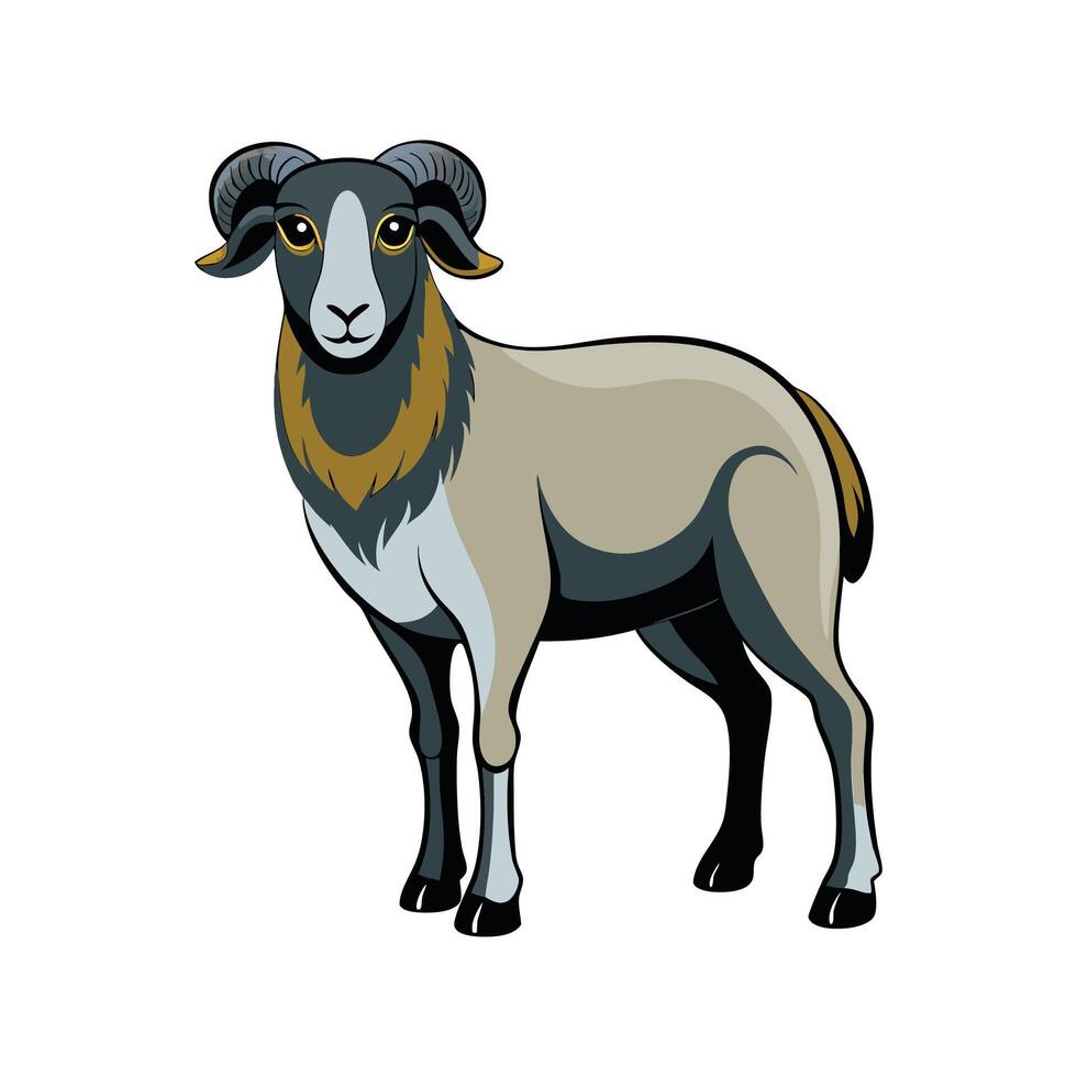 Vivid Katahdin Sheep Realistic Color Illustration vector