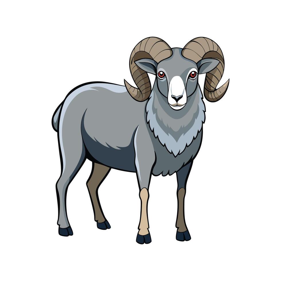 Stunning Katahdin Sheep Realistic Color Illustration vector