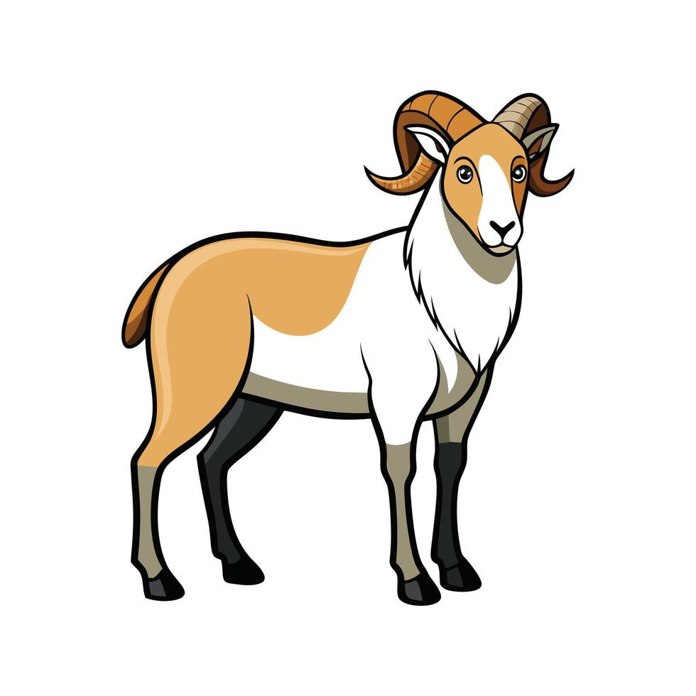 Stunning Katahdin Sheep Realistic Color Illustration. vector