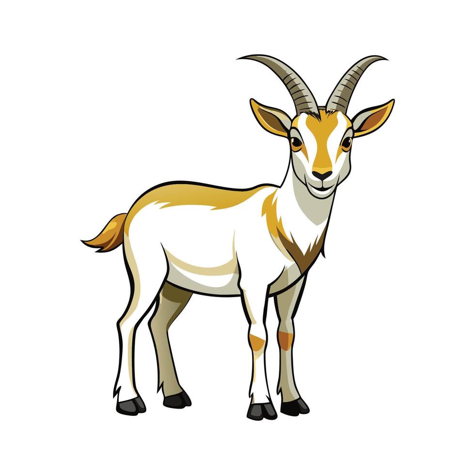 Charming Kiko Goat Realistic Color Illustration with Outline vector