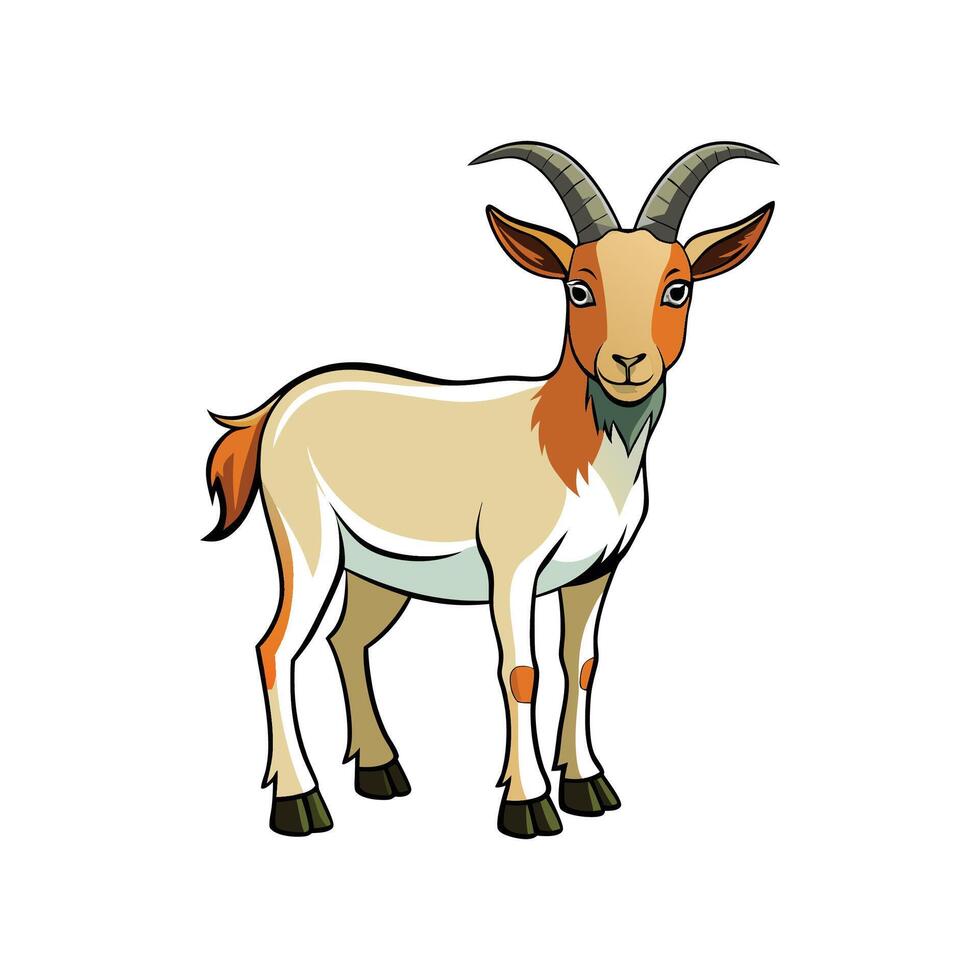 Beautiful Kiko Goat Realistic Color Illustration with Outline vector