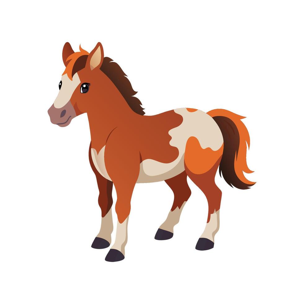 Stunning Miniature Horse Realistic Color Illustration on White vector