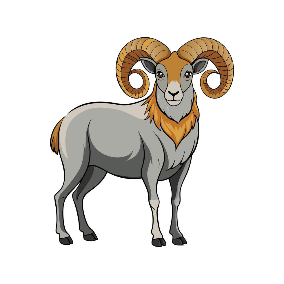 Vivid Norfolk Horn Sheep Realistic Color Illustration vector