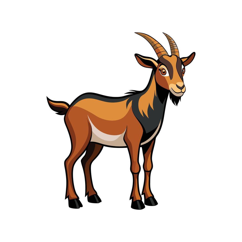 Vivid Nubian Goat Realistic Color Illustration with Outline. vector