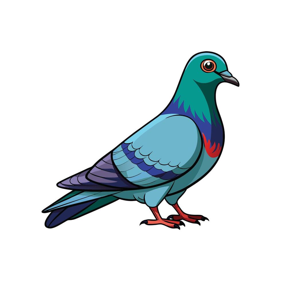 Charming Pigeon Realistic Color Illustration with Outline vector