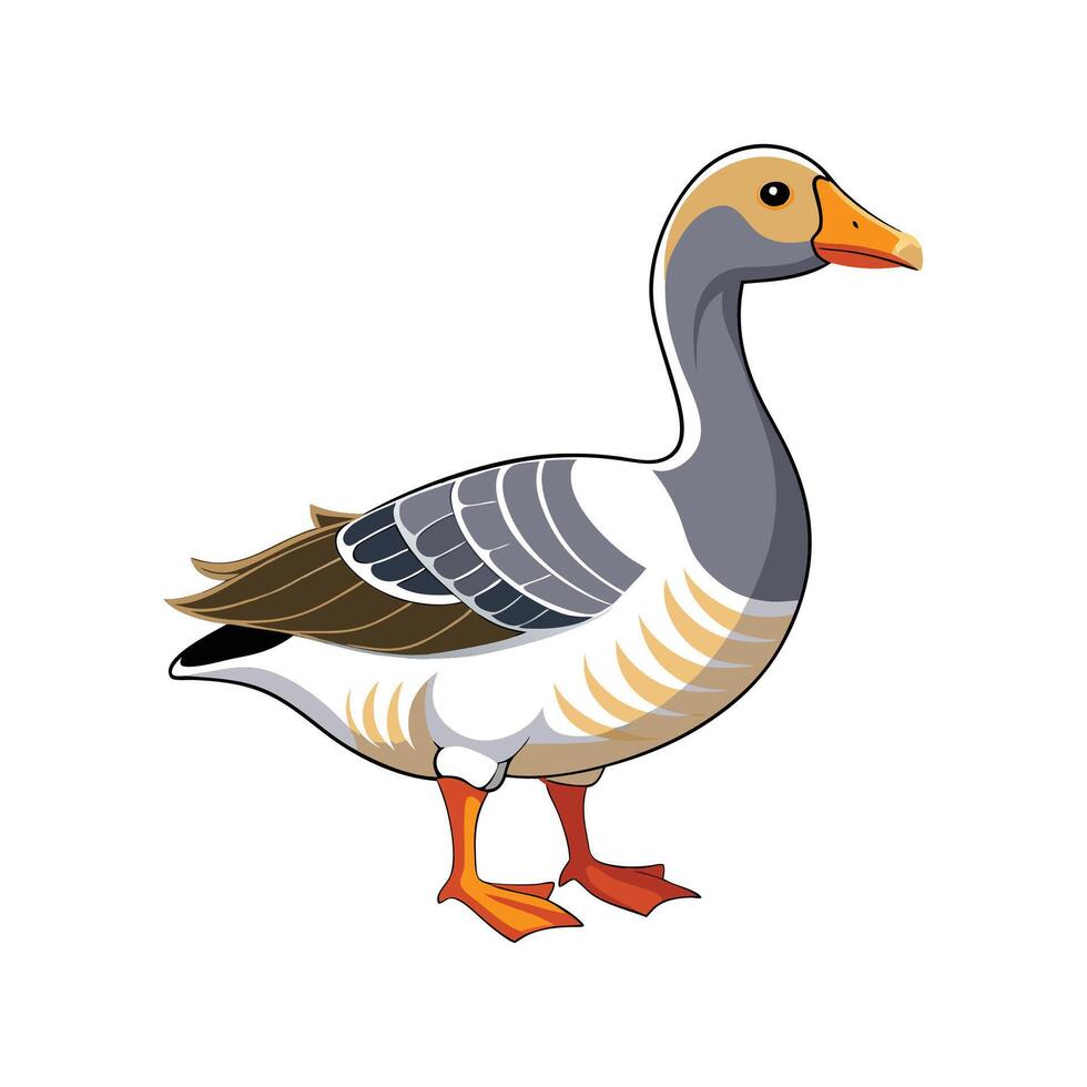 Stunning Pilgrim Goose Realistic Color Illustration vector