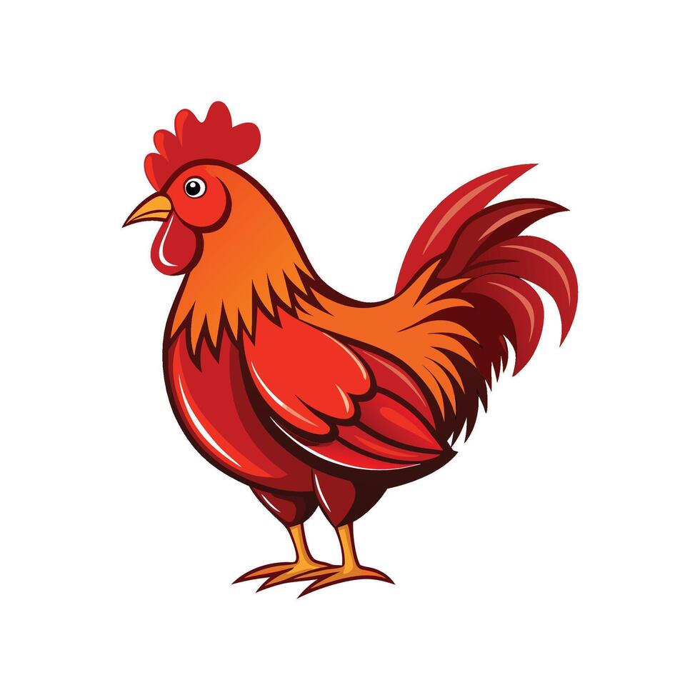 Charming Rhode Island Red Chicken Realistic Color Illustration vector