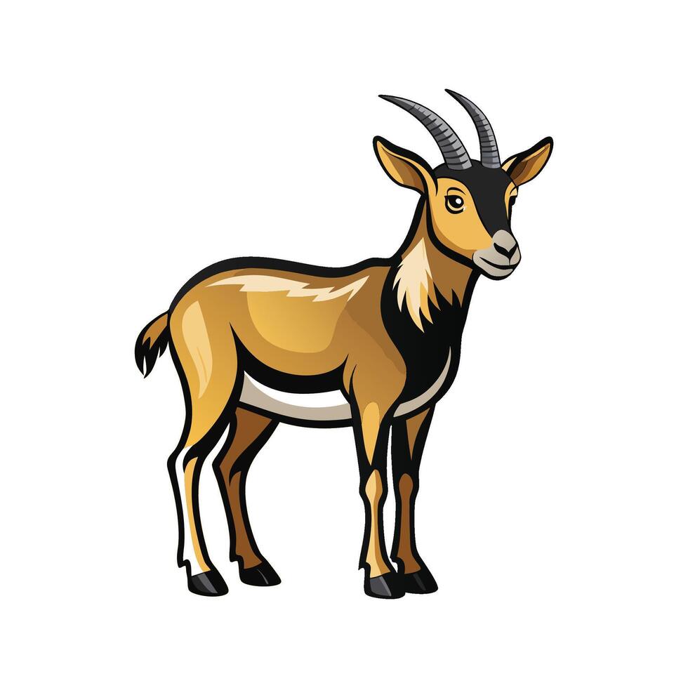 Stunning San Clemente Island Goat Realistic Color Illustration vector