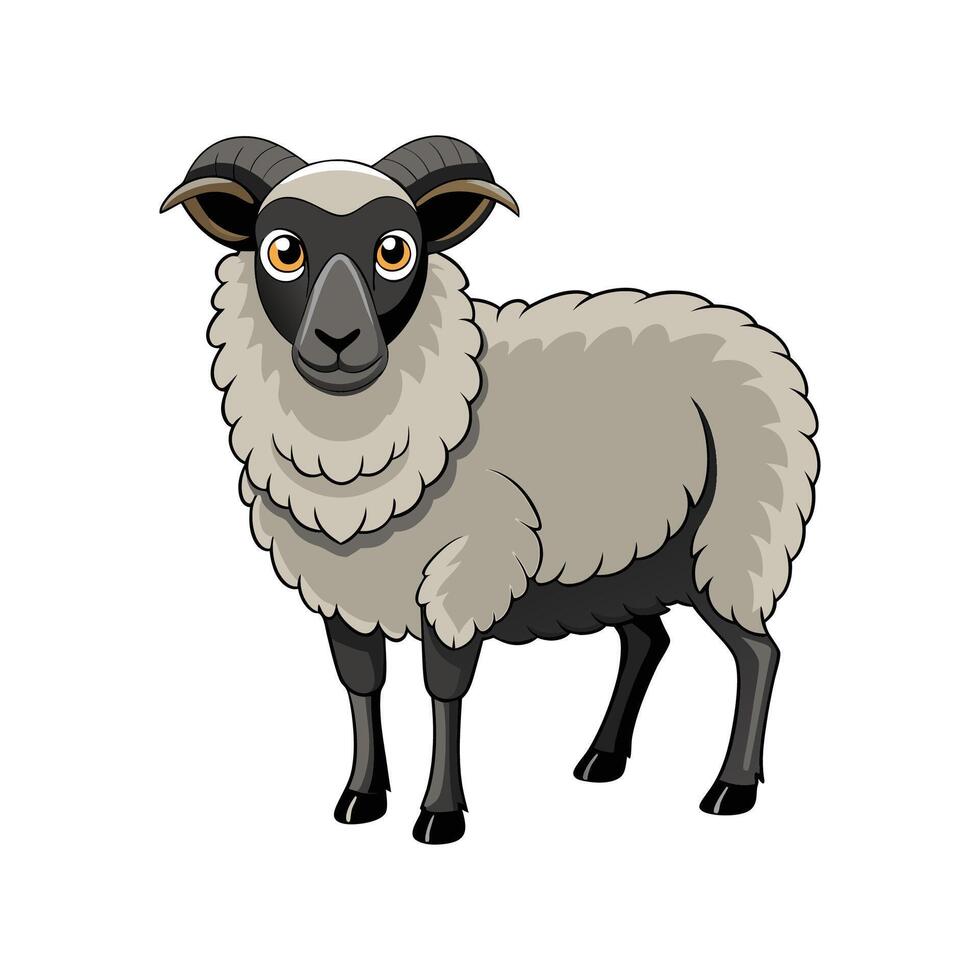 Charming Scottish Blackface Sheep Realistic Color Illustration vector