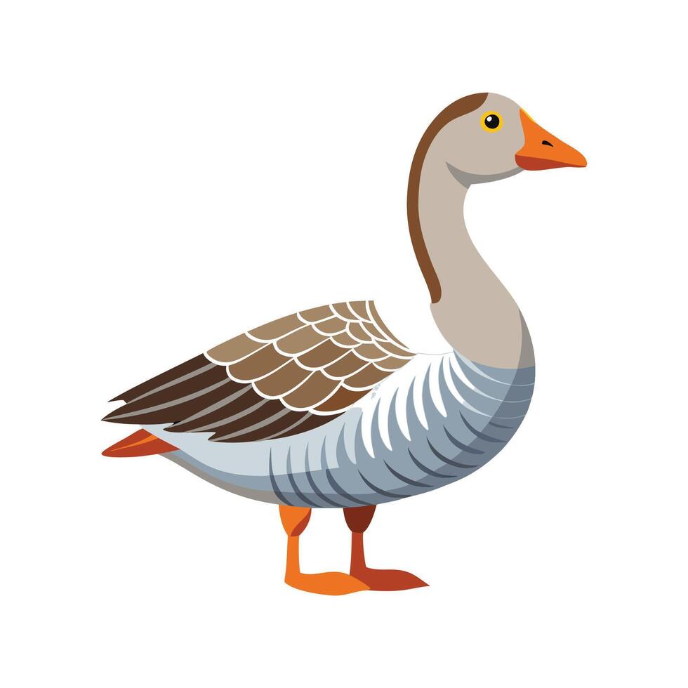 Vivid Sebastopol Goose Realistic Color Illustration vector