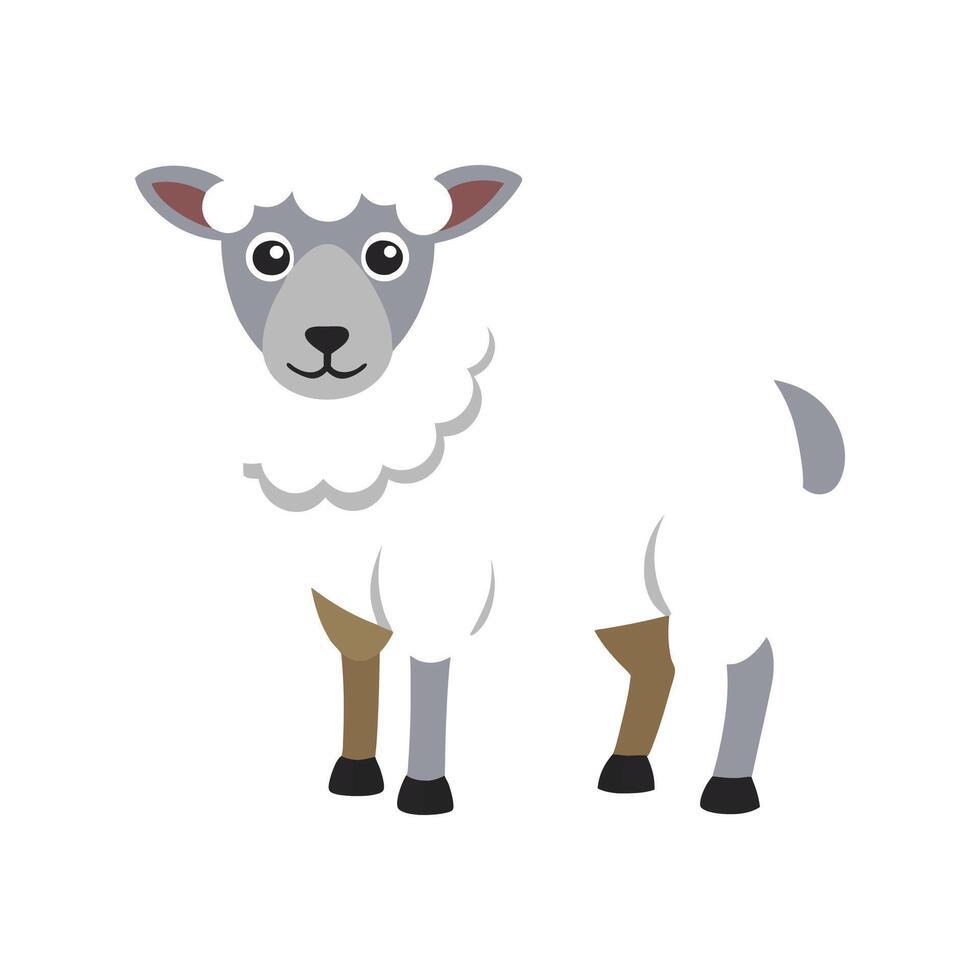 Charming Sheep Illustration on White Background vector