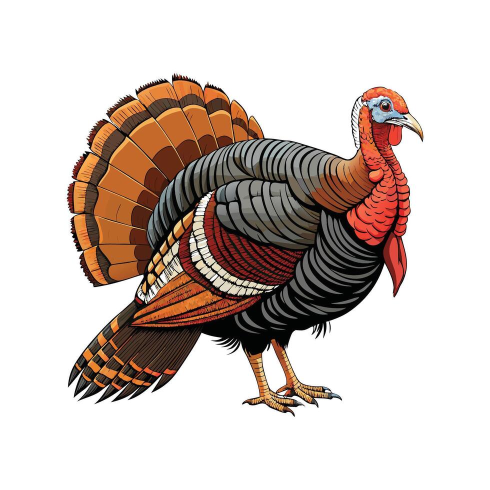 Stunning Slate Turkey Realistic Color Illustration with Outline vector