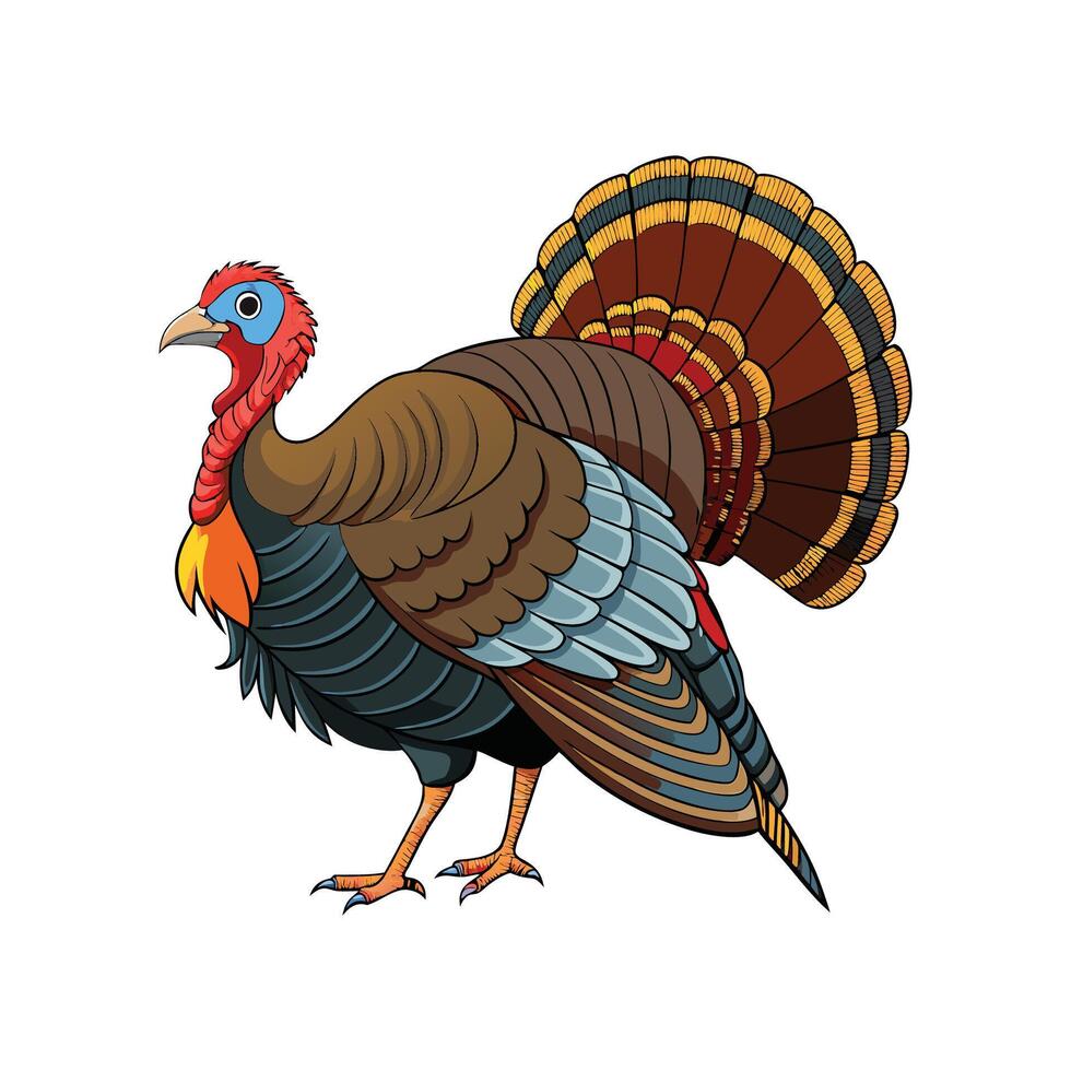 Charming Slate Turkey Realistic Color Illustration with Outline vector