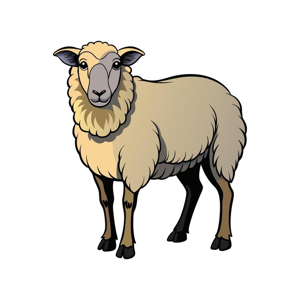 Stunning Suffolk Sheep Realistic Color Illustration with Outline. vector