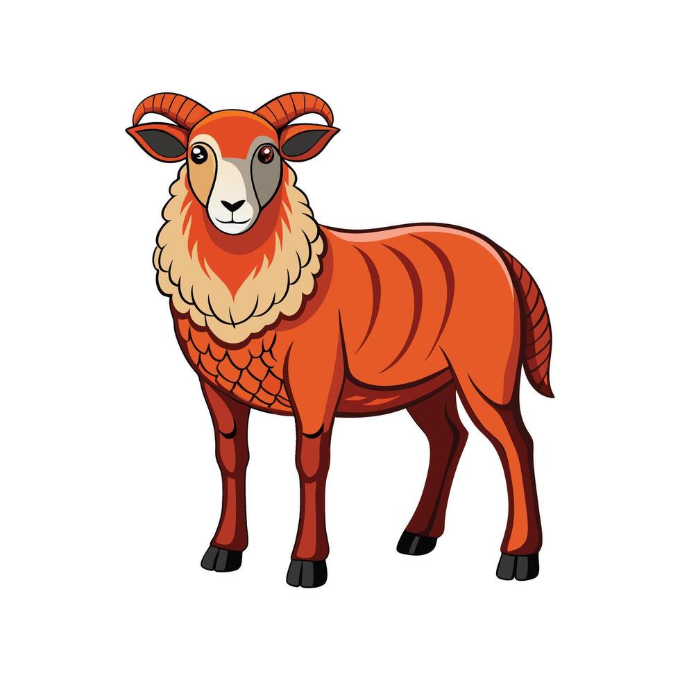 Charming Texel Sheep Realistic Color Illustration with Outline. vector