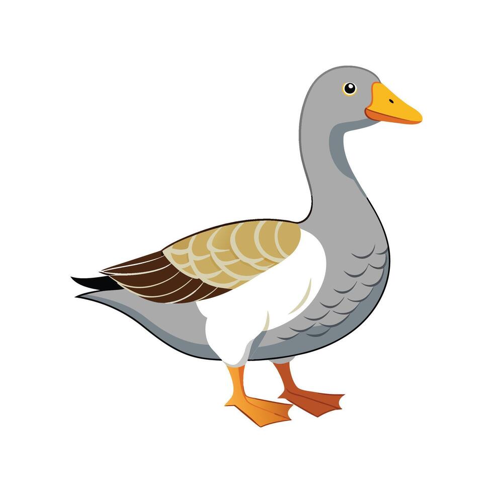 Realistic Illustration of Toulouse Goose in Color vector