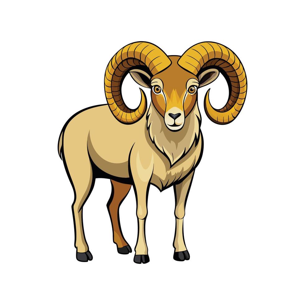 Illustration of Realistic Wiltshire Horn Sheep vector