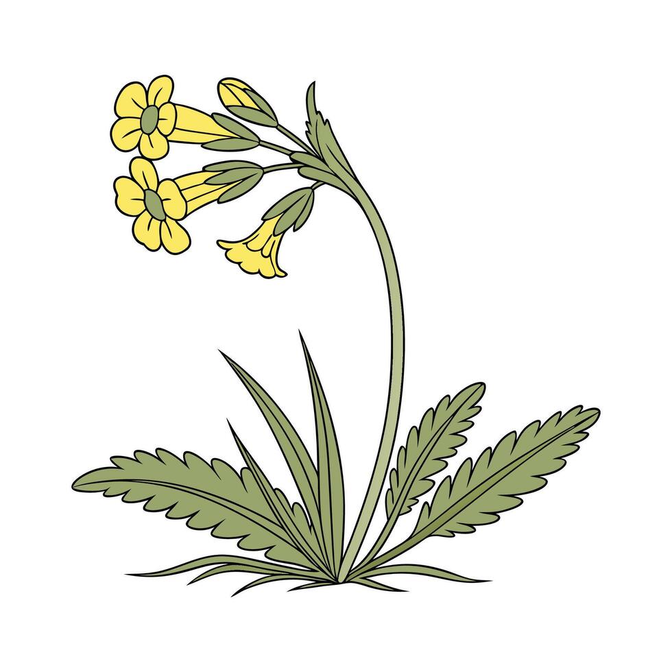 Vibrant Yellow Rattle for Beautiful Displays vector