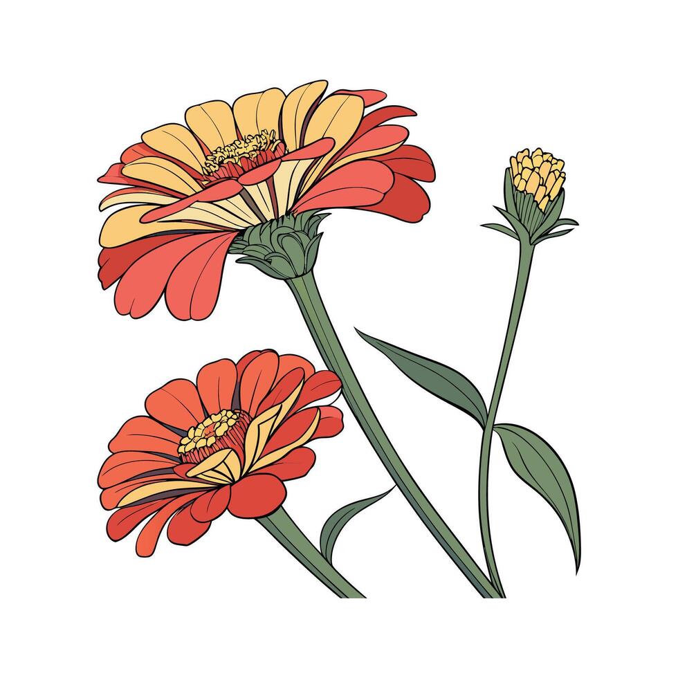 Vibrant Zinnia for Unique Garden Decor vector