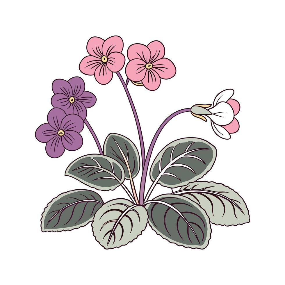 African Violets Artistic Representation vector