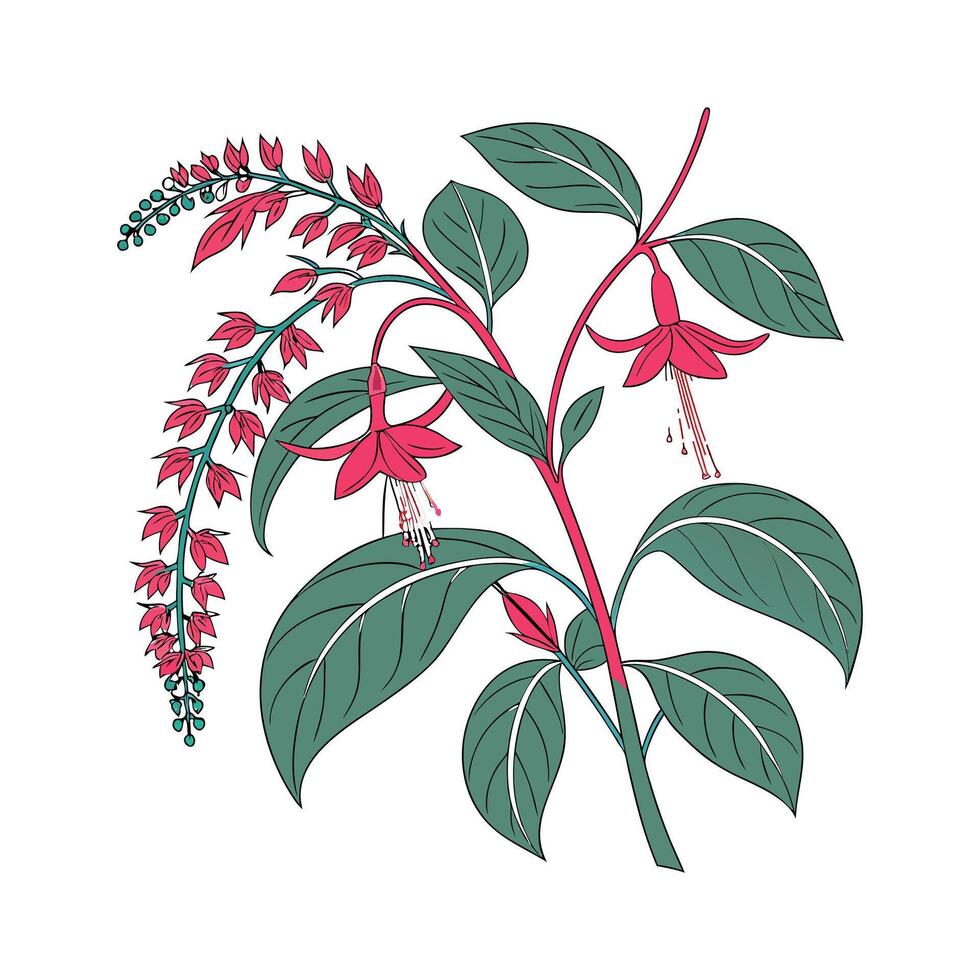 Amaranth Flower Unique Design vector
