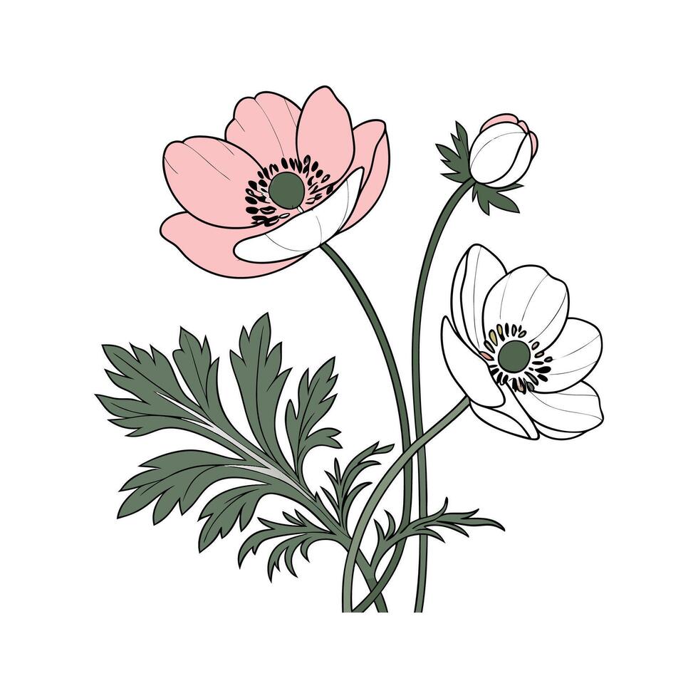 Anemone Flower Unique Design vector