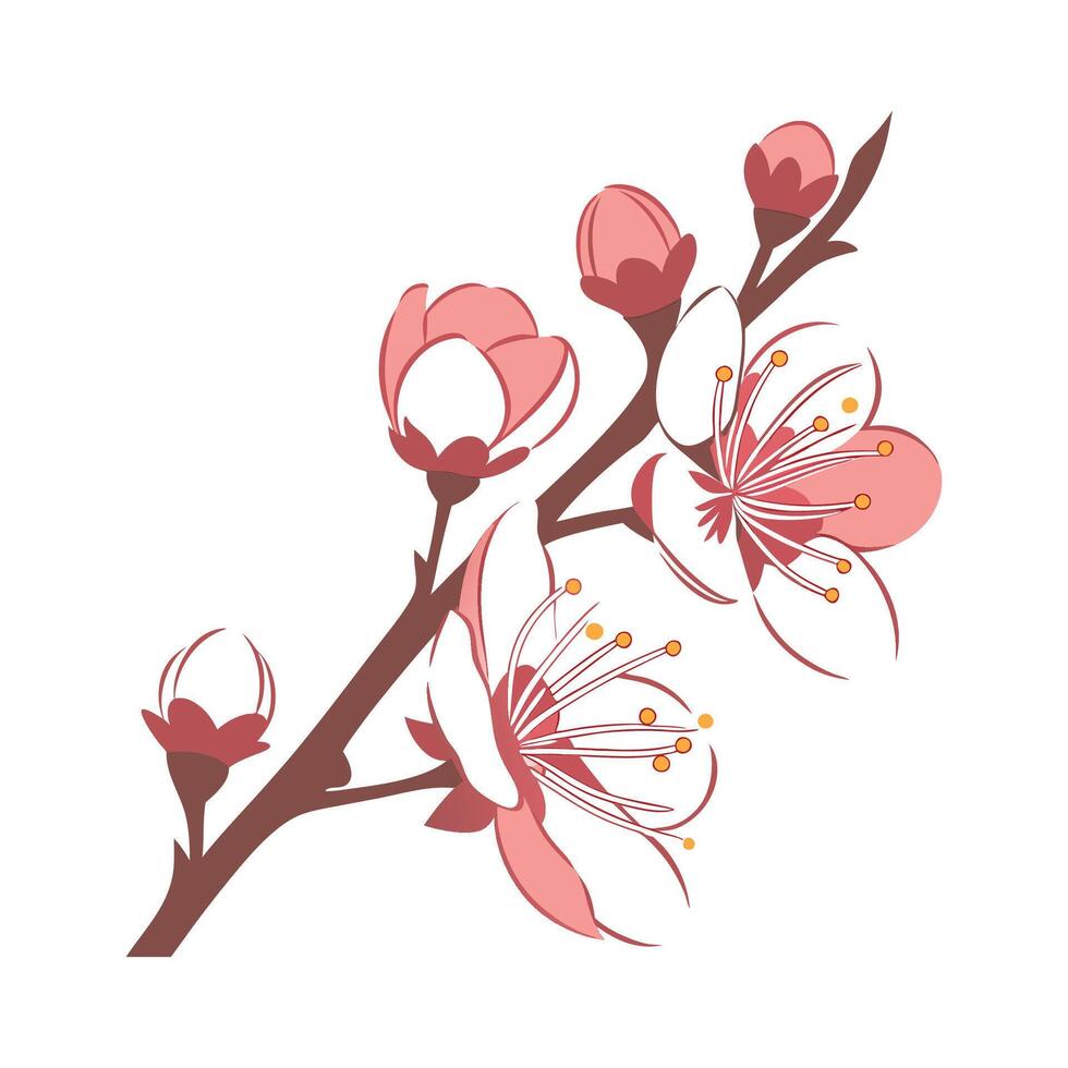 Apricot Blossom Bright Floral Design vector
