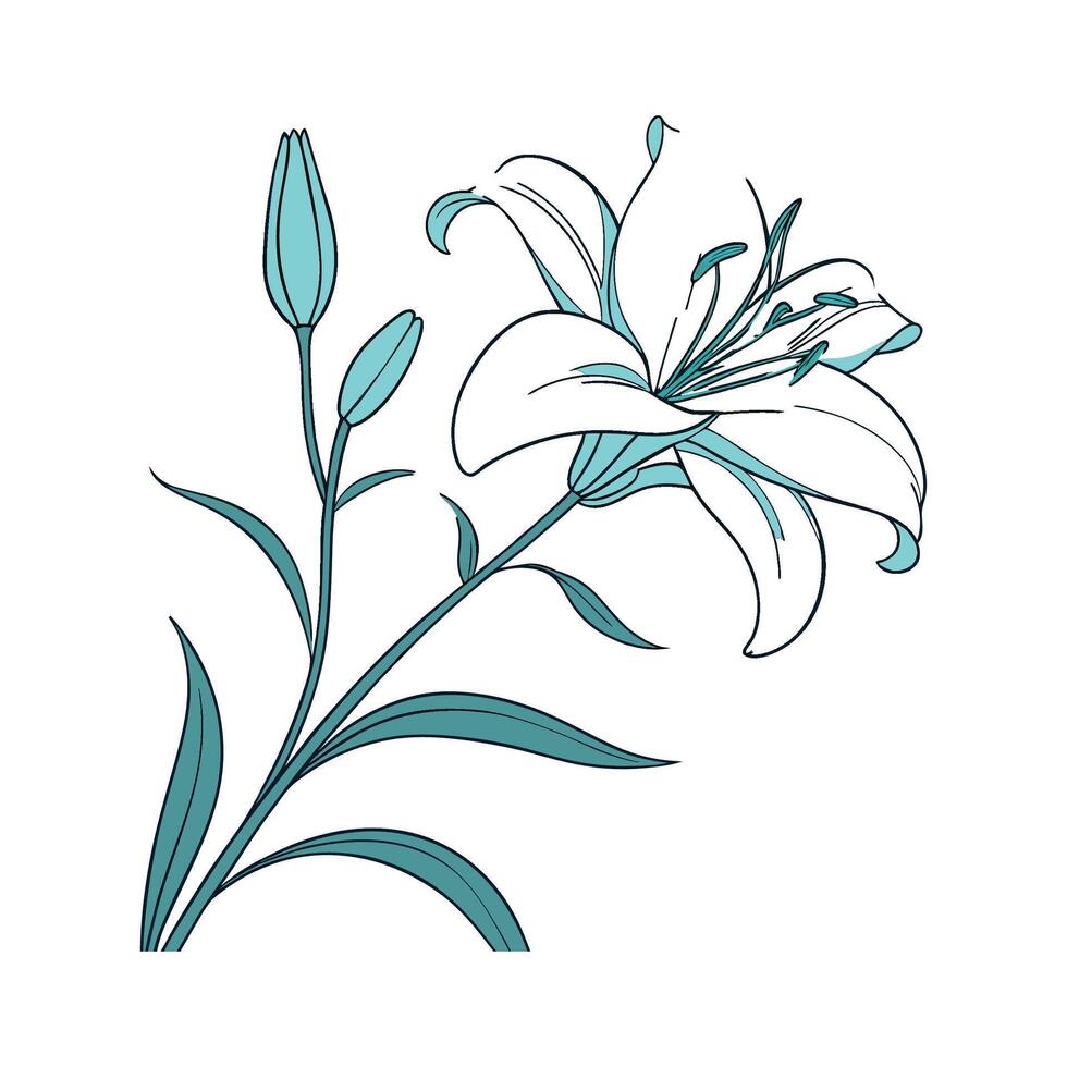 Charming Aqua Lily Flower on White vector