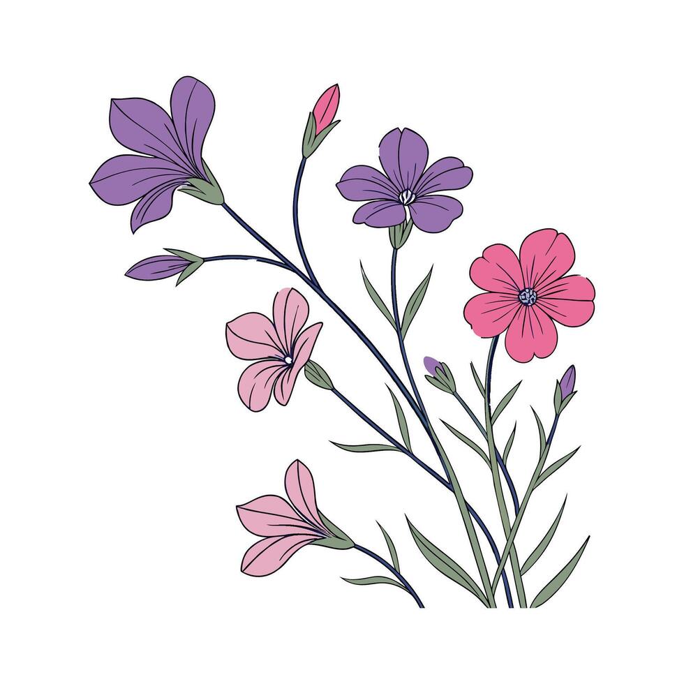 Aubrieta Flower on Clean Background vector