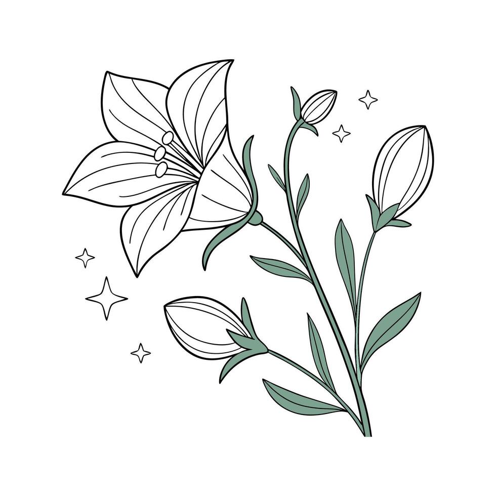 Charming Baloon Flower on White vector