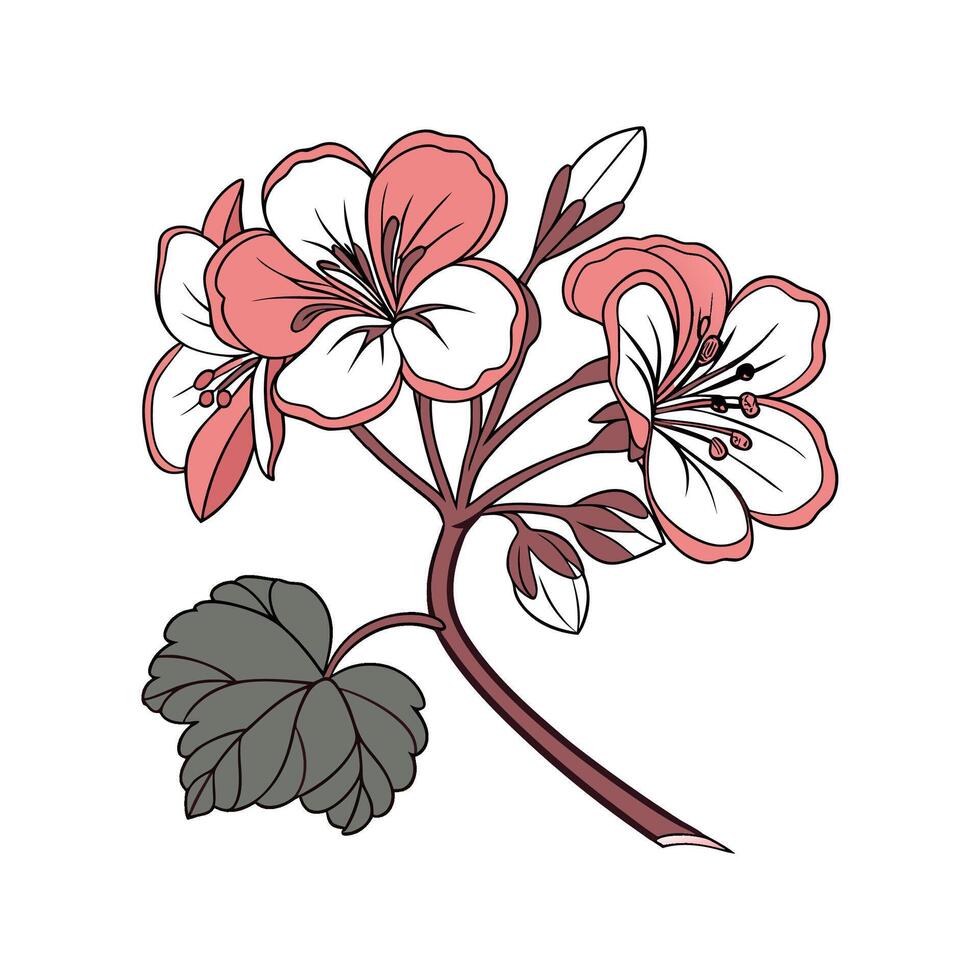 Begonia Flower Bright Design vector