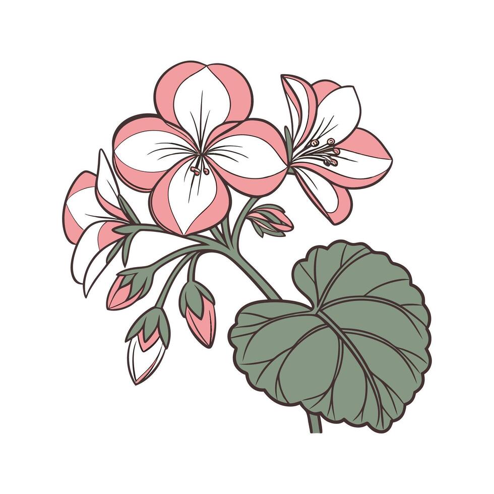 Stylish Begonia Floral Design vector