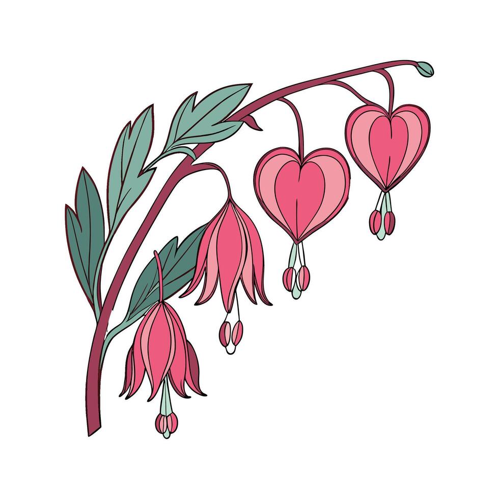 Stylish Bleeding Heart Flower Design vector