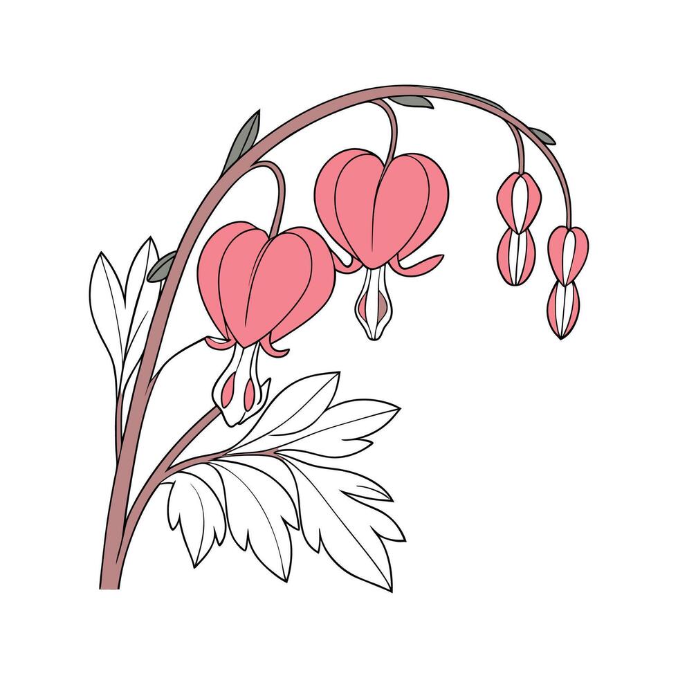 Bleeding Heart Bright Floral Design vector