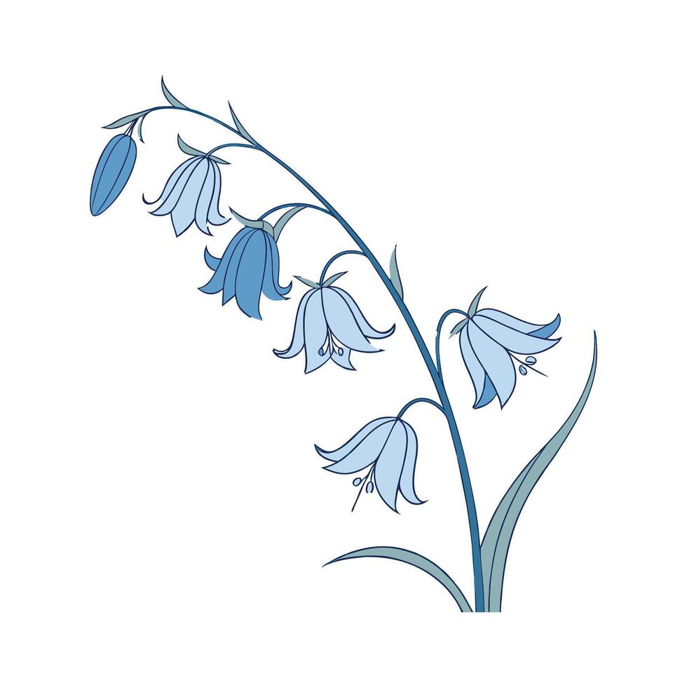 Charming Bluebell on Clean White vector