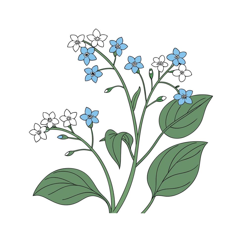 Stylish Brunnera Flower Design vector