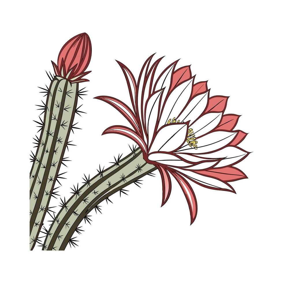 Stylish Cacti Flower Design vector
