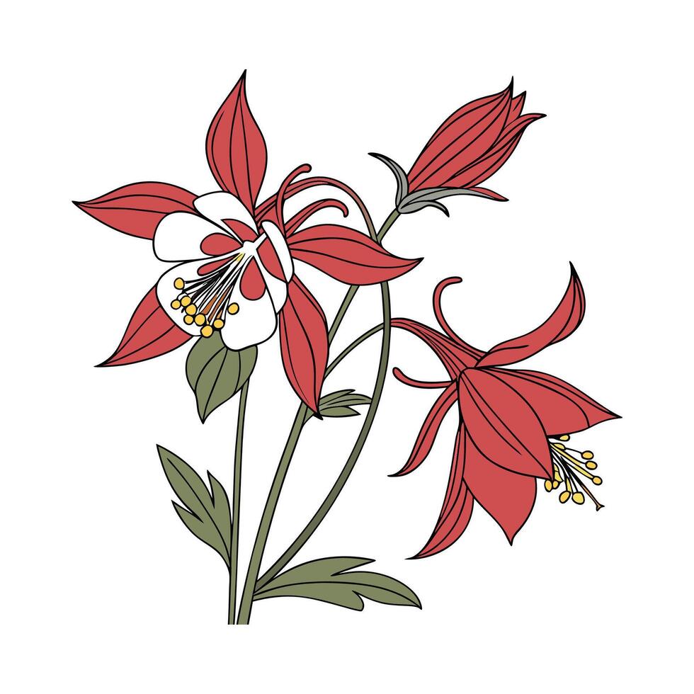 Charming Cardinal Flower on Clean White vector