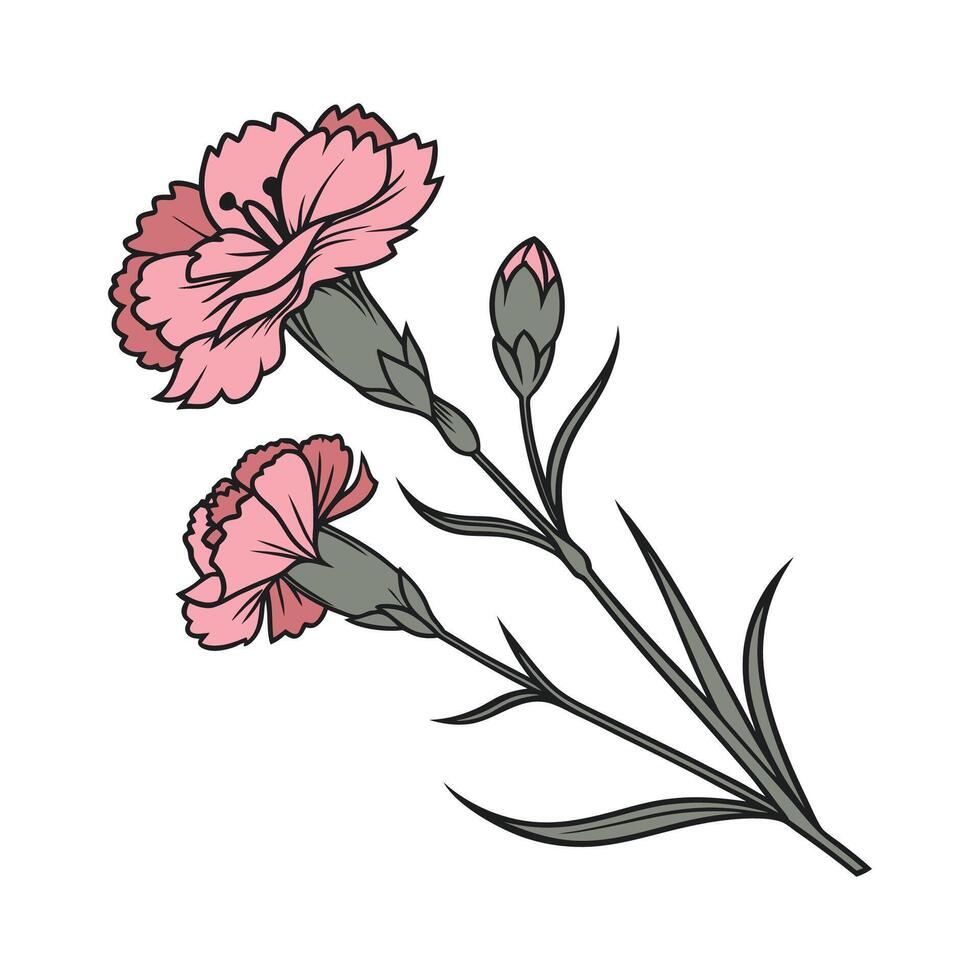 Elegant Carnation Floral Design vector