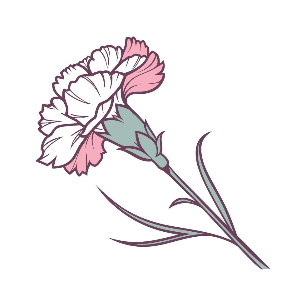 Carnation Pink Bright Design vector
