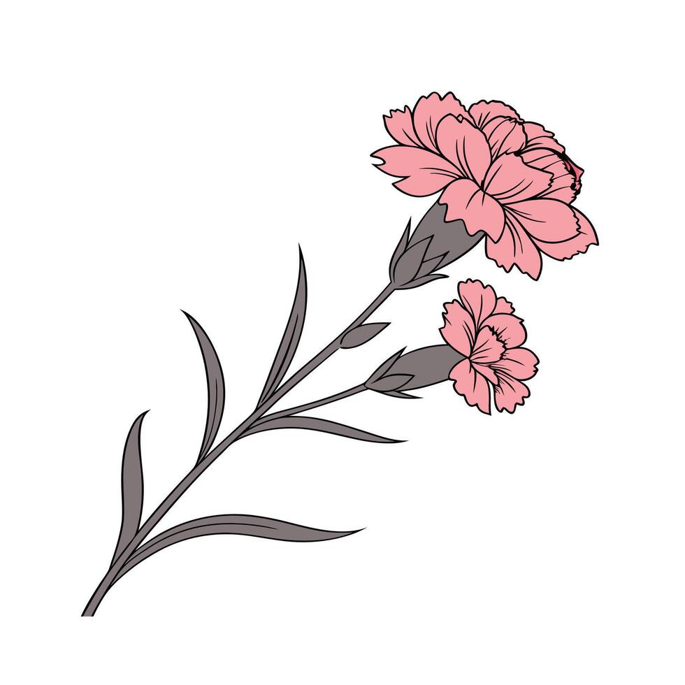 Stylish Carnation Pink Flower Design vector