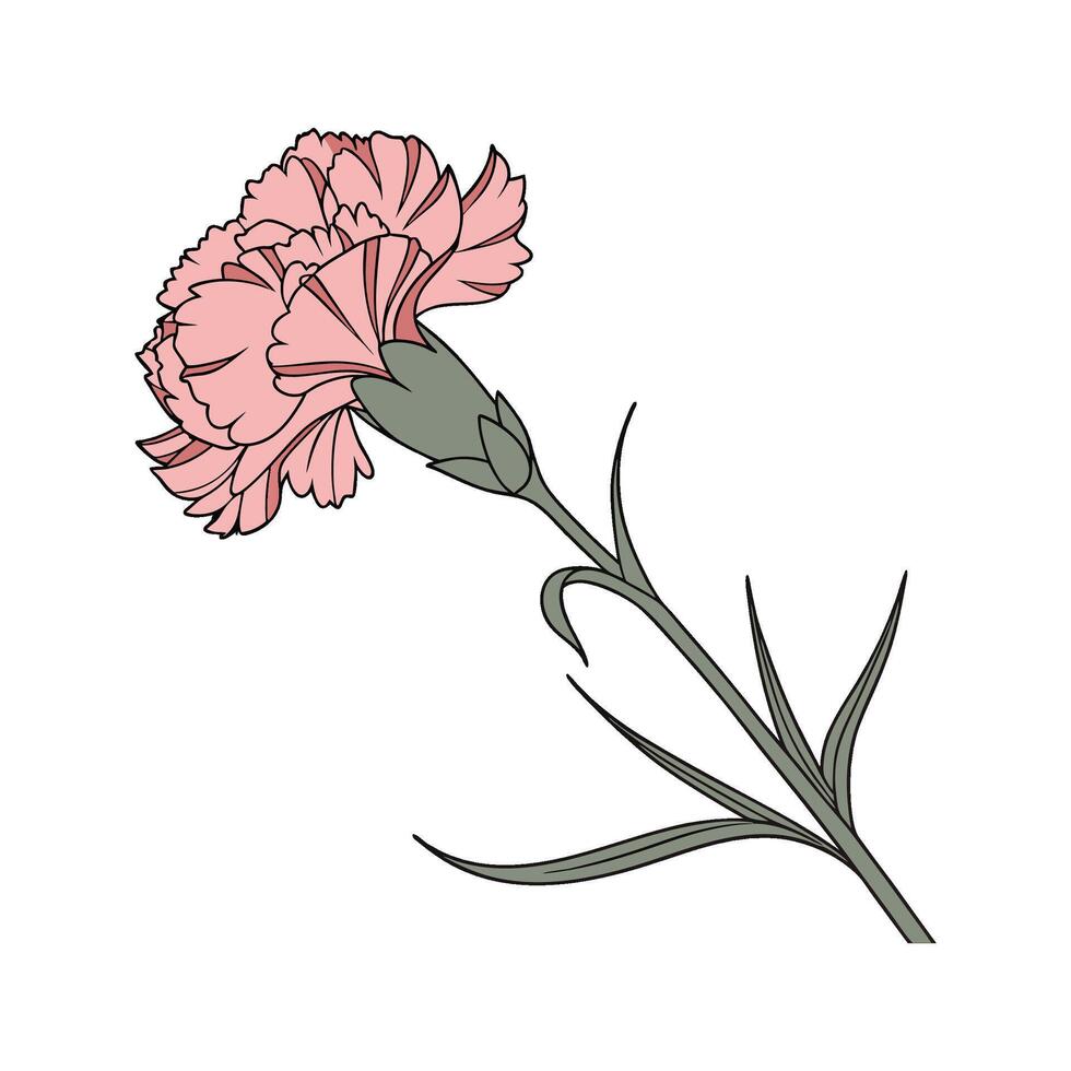 Charming Carnation Pink on Clean White vector